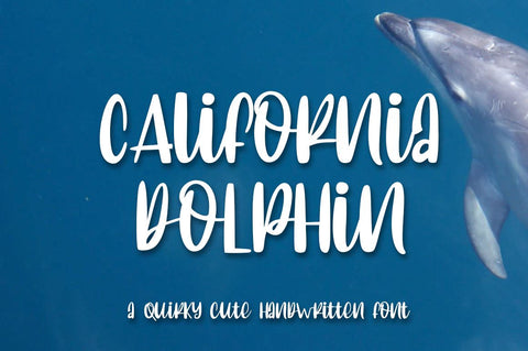 California Dolphin Quirky Handwritten Font Haksen 