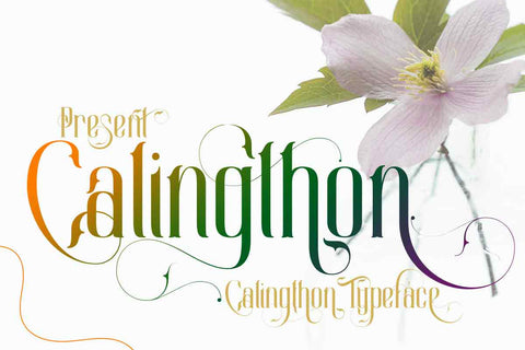 Calingthon Font JH-CreativeFont 