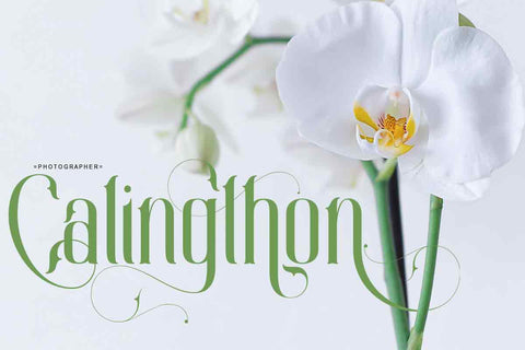Calingthon Font JH-CreativeFont 