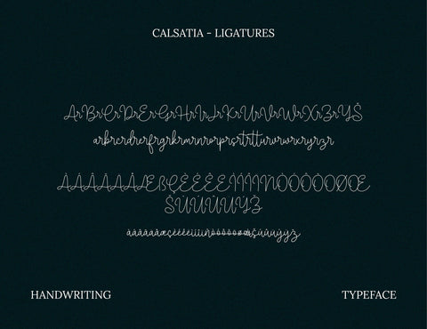 Calsatia Modern Handwritten Font Font inferno.studio3 