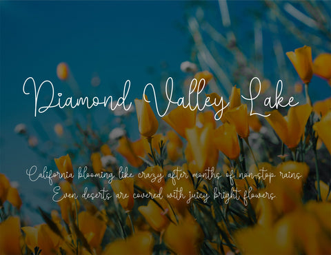 Calsatia Modern Handwritten Font Font inferno.studio3 