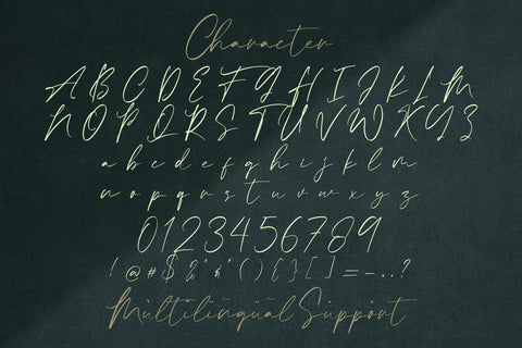 Calvin Fallen - Handwritten Signature Font Font StringLabs 