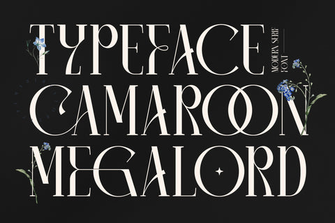 CAMAROON MEGALORD Typeface Font Storytype Studio 