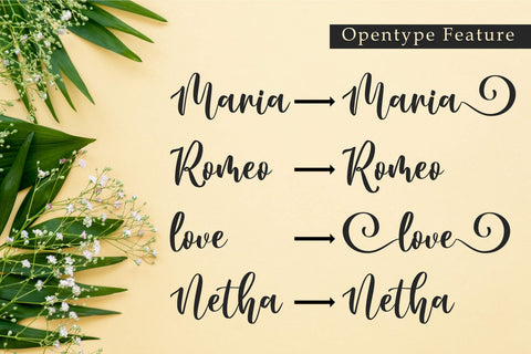 Cambrina Font Madatype Studio 