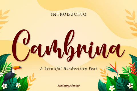 Cambrina Font Madatype Studio 