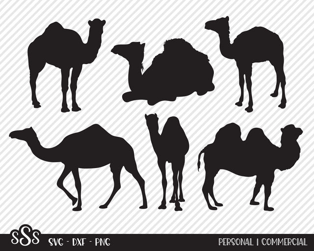 Camel Bundle | Outdoor SVG SVG Texas Southern Cuts 