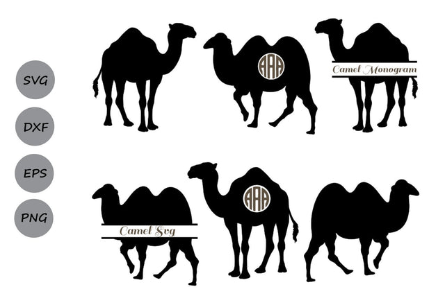 Camel Monogram| Animals SVG Cut Files SVG CosmosFineArt 