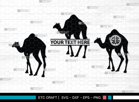 Camel Monogram, Camel Silhouette, Camel SVG, Desert Animal Svg, Black Camel Svg, Wild Animal Svg, SB00234 SVG ETC Craft 