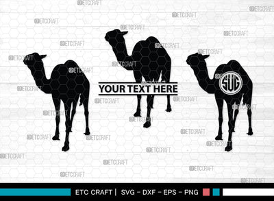 Camel Monogram, Camel Silhouette, Camel SVG, Desert Animal Svg, Black Camel Svg, Wild Animal Svg, SB00234 SVG ETC Craft 