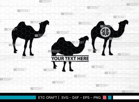 Camel Monogram, Camel Silhouette, Camel SVG, Desert Animal Svg, Black Camel Svg, Wild Animal Svg, SB00234 SVG ETC Craft 