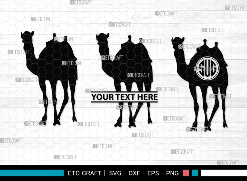 Camel Monogram, Camel Silhouette, Camel SVG, Desert Animal Svg, Black ...