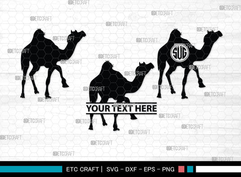 Camel Monogram, Camel Silhouette, Camel SVG, Desert Animal Svg, Black Camel Svg, Wild Animal Svg, SB00234 SVG ETC Craft 