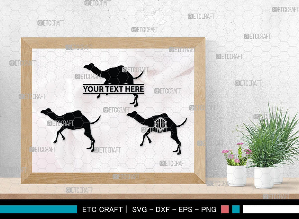 Camel Monogram, Camel Silhouette, Camel SVG, Desert Animal Svg, Black ...