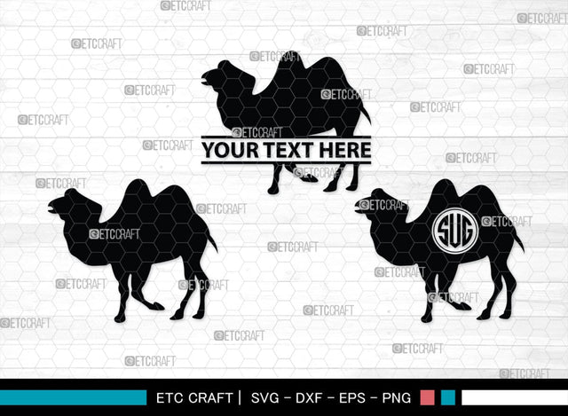Camel Monogram, Camel Silhouette, Camel SVG, Desert Animal Svg, Black Camel Svg, Wild Animal Svg, SB00234 SVG ETC Craft 