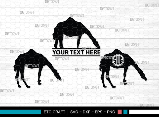 Camel Monogram, Camel Silhouette, Camel SVG, Desert Animal Svg, Black Camel Svg, Wild Animal Svg, SB00234 SVG ETC Craft 