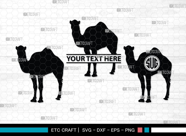 Camel Monogram, Camel Silhouette, Camel SVG, Desert Animal Svg, Black Camel Svg, Wild Animal Svg, SB00234 SVG ETC Craft 