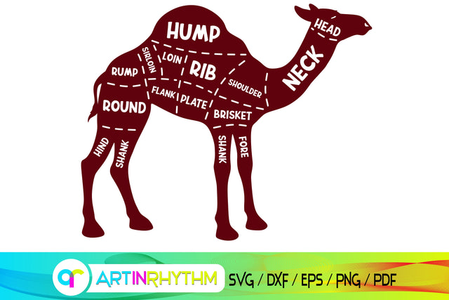 camel svg, butchers svg SVG Artinrhythm shop 