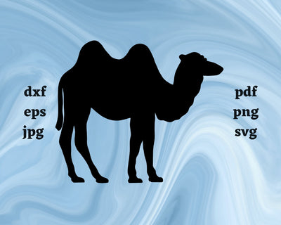 Camel SVG Cut File SVG Northern Light SVG 