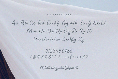 Camelia Beauty - Monoline Script font Font Timur type 