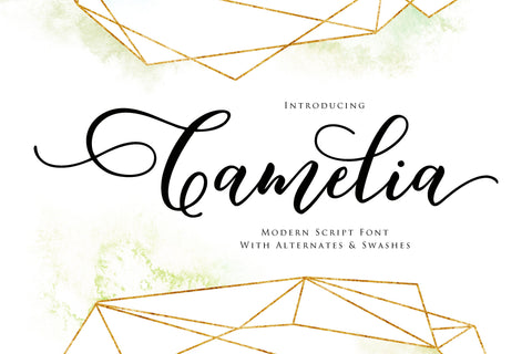 Camelia Script Font Fargun Studio 