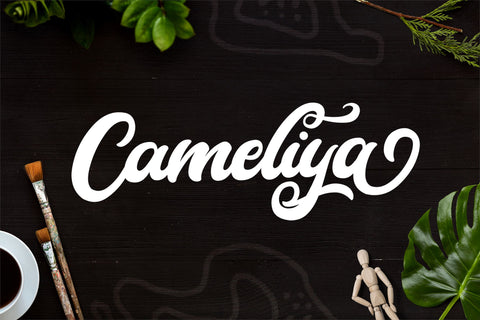 Cameliya - Bold Script Font Font StringLabs 