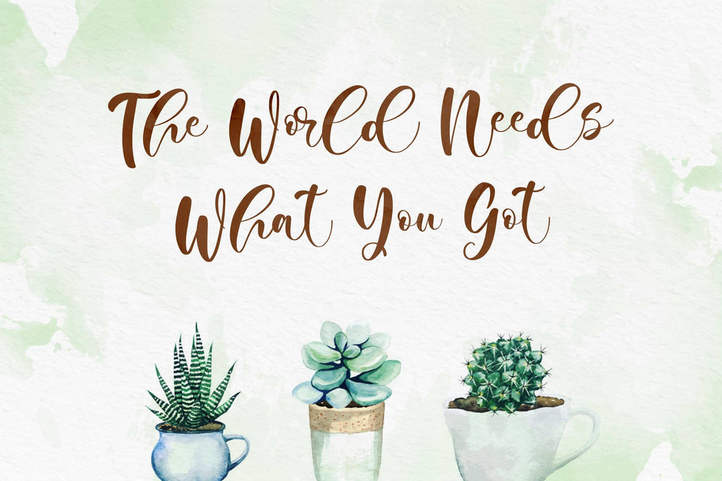 Camila Audrey Script Font - So Fontsy