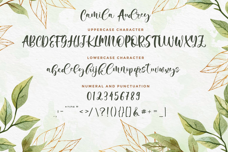 Camila Audrey Script Font - So Fontsy