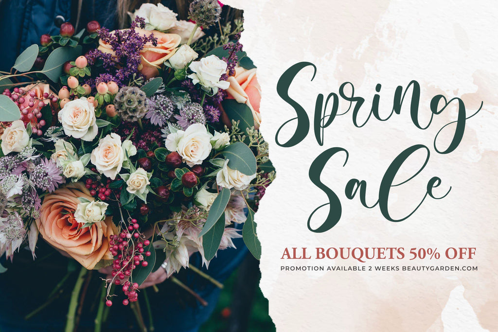 Camila Audrey Script Font - So Fontsy