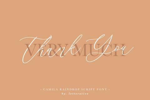 Camila Raindrop Elegant Modern Calligraphy Font Font Letterative 