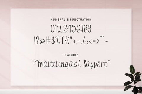 Camomile Font Anastasia 