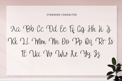 Camomile Font Anastasia 