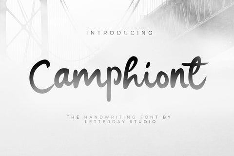 Camphion Font LetterdayStudio 