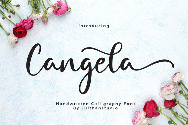 Cangela Font Sulthan studio 