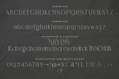 CANOVER | Ligature Serif Font toni_std 