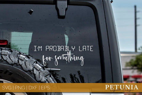 Car SVG | Car Decal Sarcastic SVG Bundle SVG Petunia Digital Design 