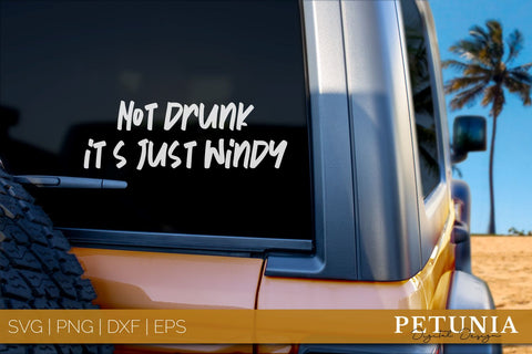 Car SVG | Car Decal Sarcastic SVG Bundle SVG Petunia Digital Design 