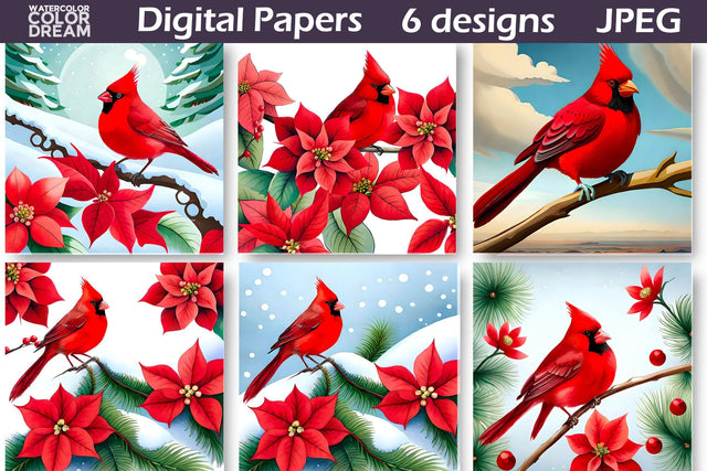 Cardinal Poinsettia Digital Paper | Christmas Illustration Digital Pattern WatercolorColorDream 