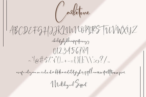 Carletone - Classy Signature Font Dm Letter Studio 