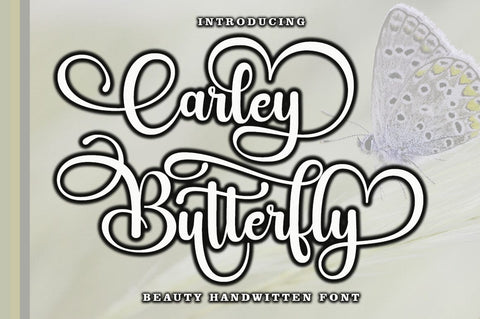 Carley Butterfly Script Font muhammadzeky 