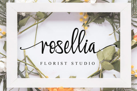 Carlottena Font Stefani Letter 