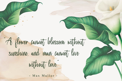 Carlottena Font Stefani Letter 