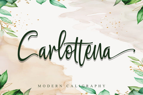Carlottena Font Stefani Letter 