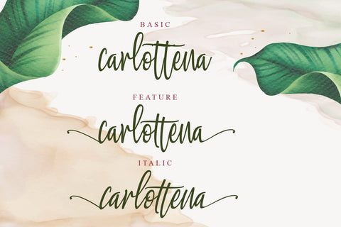 Carlottena Font Stefani Letter 