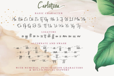 Carlottena Font Stefani Letter 
