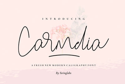 Carmelia - Modern Calligraphy Font Font StringLabs 