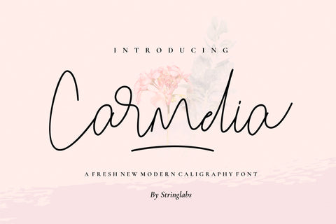 Carmelia - Modern Calligraphy Font Font StringLabs 