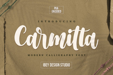 Carmitta - Modern Calligraphy font Font Ibey Design 