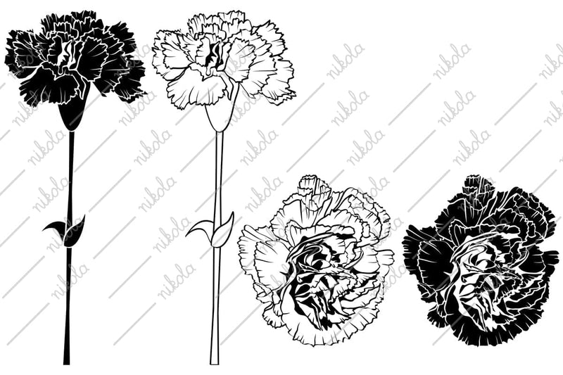 Carnation Clipart Cut File PNG SVG EPS DXF PDF - So Fontsy