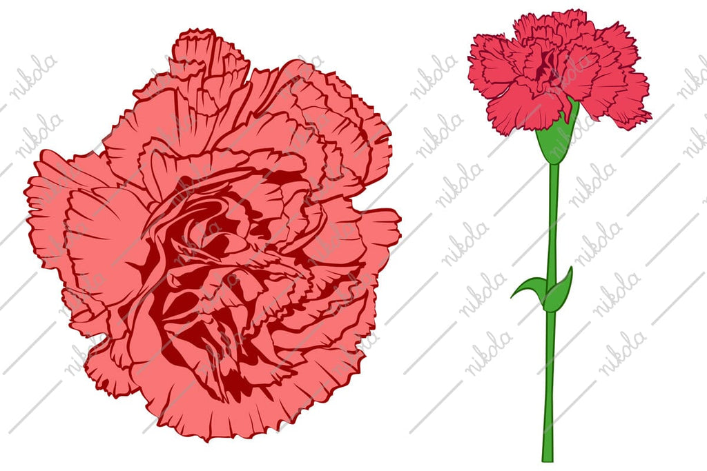 Carnation Clipart Cut File PNG SVG EPS DXF PDF - So Fontsy
