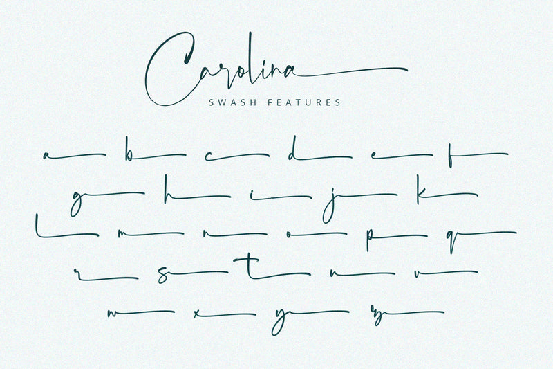 Carolina Cursive Script Carolina - Stylish Script Font - So Fontsy